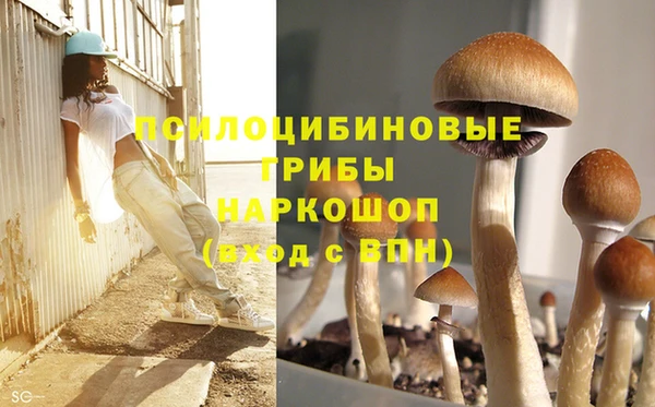 стафф Вязники