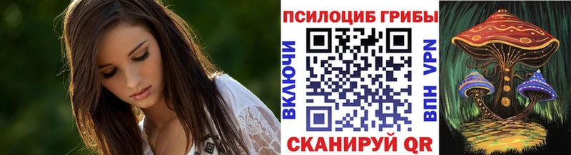 Псилоцибиновые грибы Cubensis Лиски