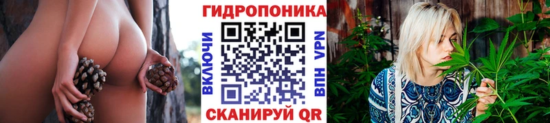 Канабис сатива  Лиски 